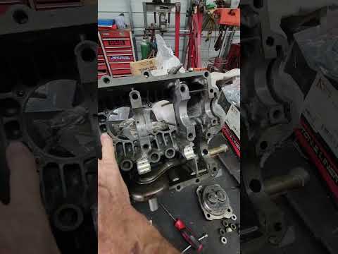 1979 Volkswagen Beetle (CC-2062269) for sale in Naples, Florida