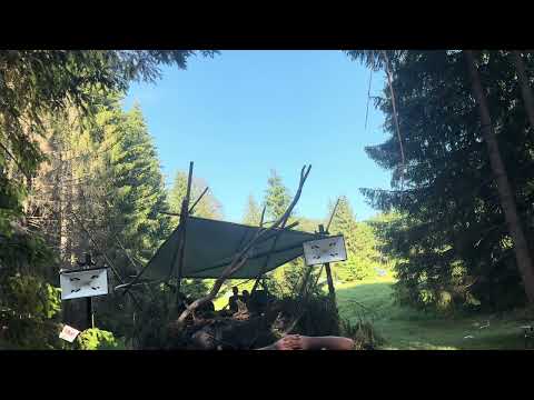 Quixotics (Noise Gust) - Glia Gathering Romania 2025