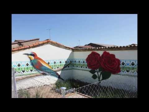"Estudiando la libertad viendo al pájaro en el parque"