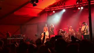 da hofa - Wolfgang Ambros live