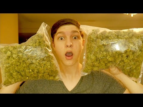 download lagu mp3 mp4 An Pound Of Weed, download lagu An Pound Of Weed gratis, unduh video klip An Pound Of Weed