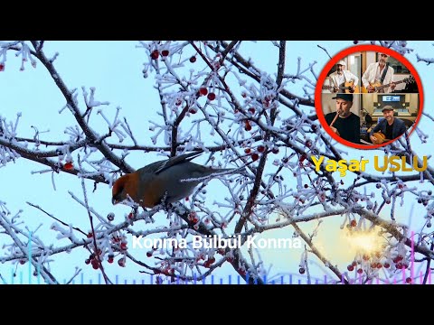 Yaşar USLU - Konma Bülbül Konma - Eleşkirt / Ağrı