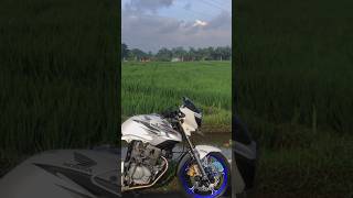 Download lagu story'wa cinematic × jedak jeduk Tiger herex #shorts mp3