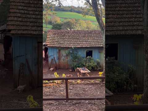 Interior do estado do Paraná Ivaiporã #roca #sitio