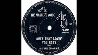 THE WILD COLONIALS   AIN&#39;T THAT LOVIN&#39; YOU BABY