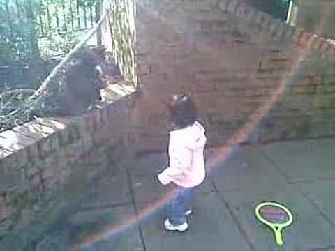 Anvya - And a very very disinterested Cat !