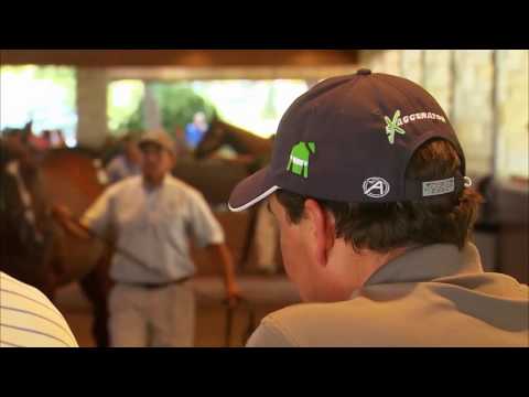 Highlights from Book 1 of the 2016 September Yearling Sale