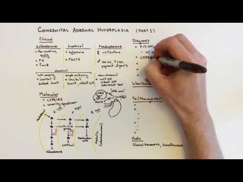 Congenital Adrenal Hyperplasia (CAH) - 1 of 2