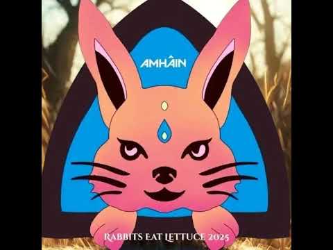 Amháin - 26-May-2025 Live at Rabbits Eat Lettuce Festival 2025, Koo Koo Stage