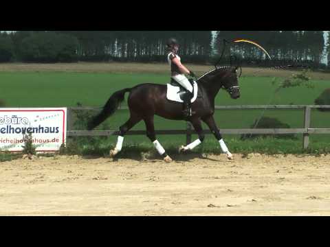 Domenika *2010 www.pferdesportservice.de _ Dressur