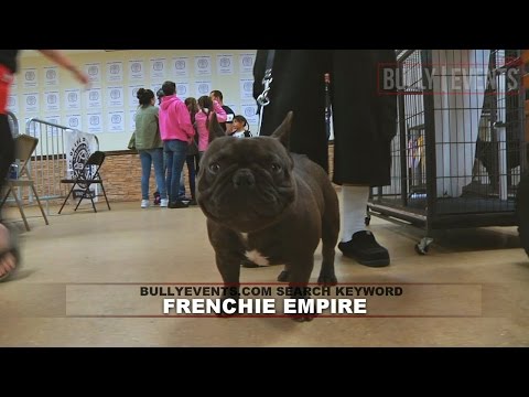 BULLY EVENTS: Frenchie Empire - Winter Bully Show (12/10/16)