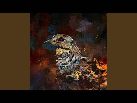 米津玄師 - 夜鷹