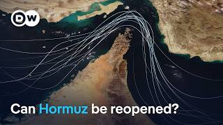 Can US allies reopen the Strait of Hormuz without military force, or US help? | DW News