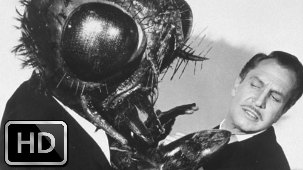 The Fly