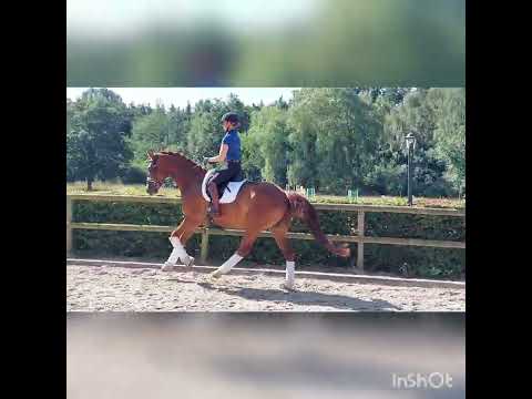 Frontmann 5j. W von Finest Selection x Christ