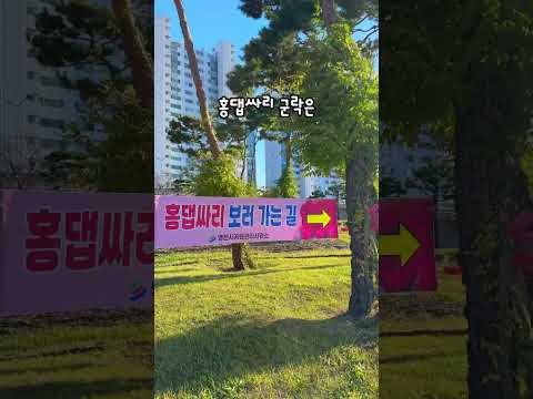 [2025새영천알림이단