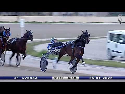 Aversa trotto 26 Gennaio 2022 - 6° Corsa