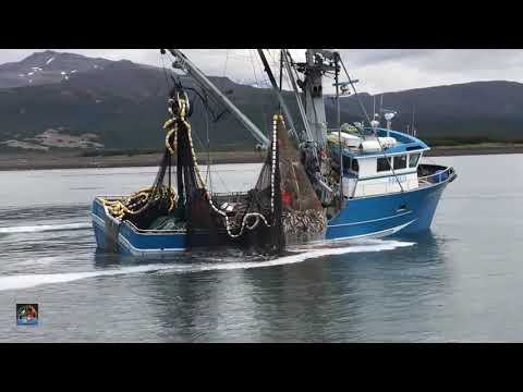 WoW !! Fishing Boat Catch a Lot of Fish - Big Catch !