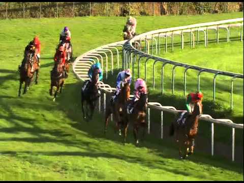 Revivez la course du Grand Prix d'Automne 2014