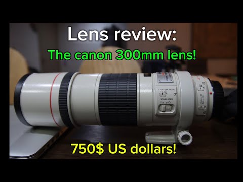 Lens review: the CANON 300MM F4 IS USM