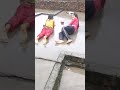 Real Monsoon Season Enjoyed By These Villages GIRL Desi Girls Rain Dance On Roof