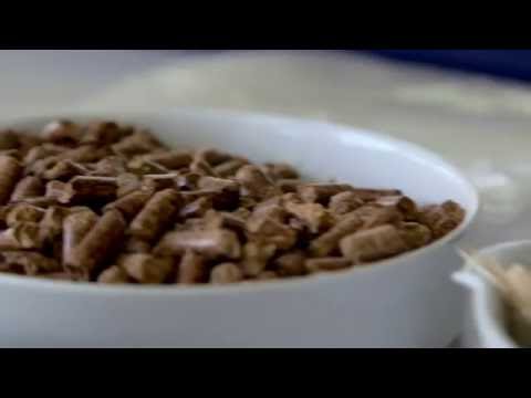 Vídeo: Biocombustibles: o aproveitamento da natureza