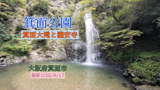 【箕面公園】箕面大滝と瀧安寺へ。大滝へ行く道中にある瀧安寺へ立ち寄りました。#大阪 #滝 #癒し #お寺 #絶景