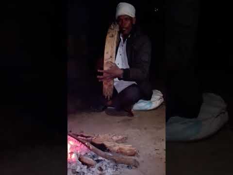 Tharu sanskirtik lokbaja dhamar #Singer:Kaliram chaudhary Village:kailari 7 Bhuiyanphanta kailali 💯