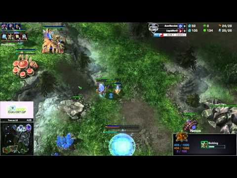 Acer TeamStory Cup Liquid vs Acer - Game 5 - HerO vs Nerchio
