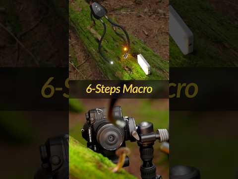 Macro Made Easy: My 6-Steps for Better Photos 📸 🍄