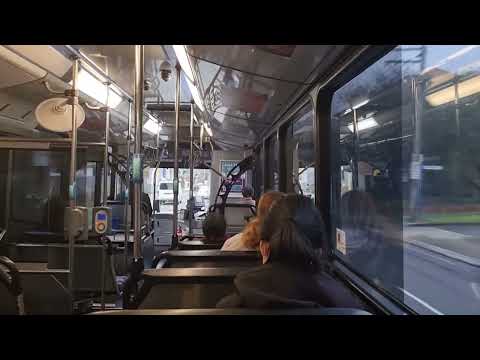 Transdev NSW - Mercedes Benz O500LE (ZF).