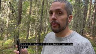 Arboreal Tree Height in a slope  - does it work