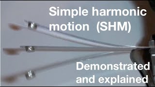 Simple harmonic motion (SHM) -an introduction in five minutes for beginners