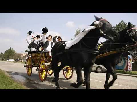 ŠA MI TADZI PREHODZELI - Mišani hor Doma kulturi Ruski Kerestur