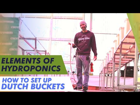 How to Set Up Dutch Buckets