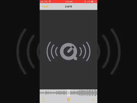 GucciGang Cashout This A Pain Song