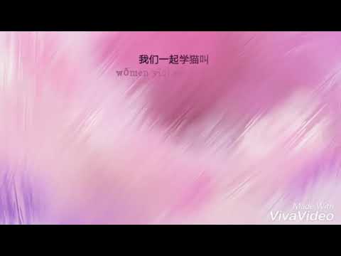 xue mao jiao lyrics