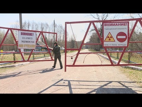 Радаўніца ў зоне адчужэння видео