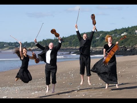 What is a String Quartet? SAINT JOHN STRING QUARTET