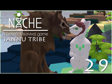 A Seer's Life in the Balance!! • Niche: Jannu Tribe - Episode #29