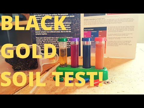 Worm Casting Soil Test