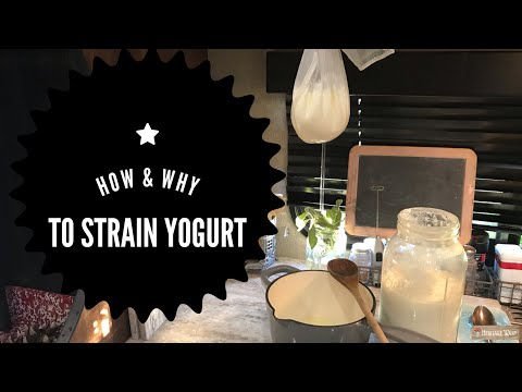 download lagu mp3 mp4 How To Strain Greek Yogurt For Tzatziki, download lagu How To Strain Greek Yogurt For Tzatziki gratis, unduh video klip How To Strain Greek Yogurt For Tzatziki