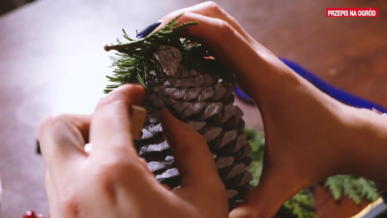 Jak zrobić dekoracje z szyszek