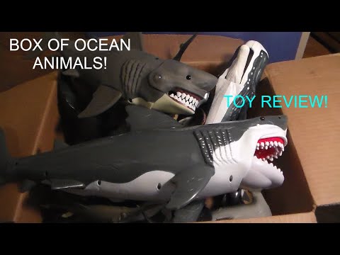 HUGE BOX OF SEA ANIMALS TOYS! Whale Sharks and MORE!
