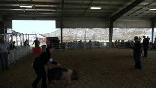 Umatilla County Fair 2026 - 4-H/FFA Swine Showmanship