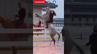 Beautiful Horse riding video / Full attitude video | Whatsapp status | tik tok #short​​ video