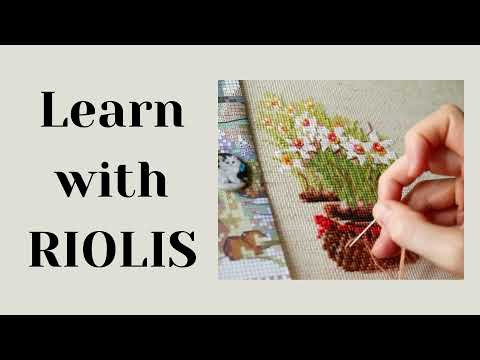 Learn with RIOLIS. Part 1: Opening the kit