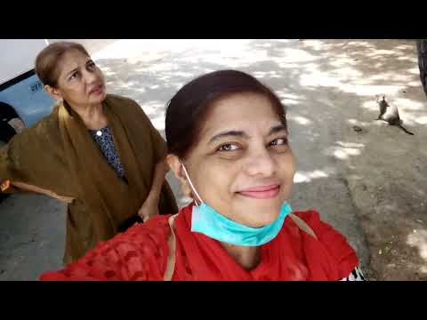 Sunday Ki Subah And Cats Message.