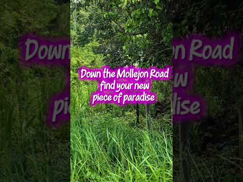 img-video