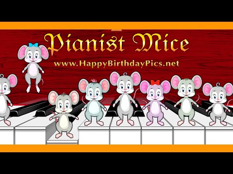Pianist Mice Are Playing The Happy Birthday Song On The Piano 🎹🎵🎂